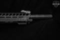 Panzer Arms AR TWELVE 12 Gauge Black in Very Good Condition Image 5