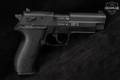 Sig Sauer Mosquito Standard .22 LR Black in Very Good Condition Image 3