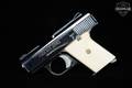 Phoenix Arms Model Raven .25 ACP (6.35mm) Bright Nickel in Very Good Condition Image 3
