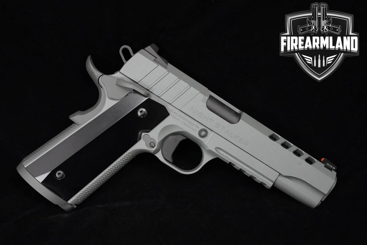 Tisas USA 1911 D10 Night Stalker 10mm CERAKOTE Tisas-USA 1911-D10 1911