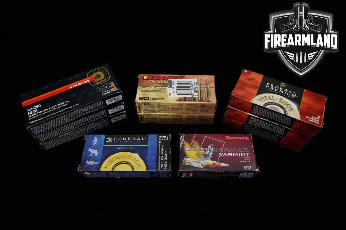 22-250 Rem Ammo 22-250-Rem Ammo 200 ROUNDS