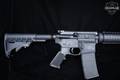 Smith & Wesson (S&W) M&P-15 Sport II Optics Ready 5.56mm NATO (.223 Rem.) Black Anodized in Excellent Condition Image 3