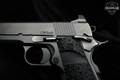 Dan Wesson Wraith .45 ACP Distressed Standard Duty in Excellent Condition Image 4