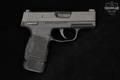 Sig Sauer P365-380 .380 ACP Black in Good Condition Image 4
