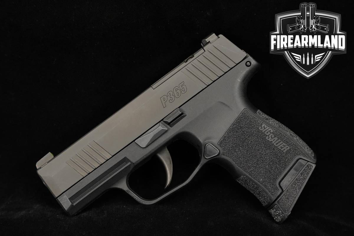 CONCEAL CARRY KIT Sig Sauer P365 9mm 3.1" P 365 +2 MAGS, OG CASE & HOLSTER