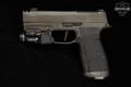 Sig Sauer P365-AXG Legion 9mm Luger Legion Gray in Excellent Condition Image 3