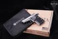 Beretta 21A Bobcat Inox .22 LR Two-Tone Stainless & Grey in Good Condition Image 2