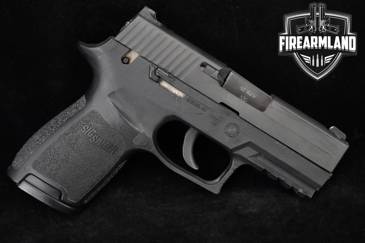 Sig Sauer P250 DAO 40 S&W Sig-Sauer P250 P-250 +2 MAGS & HOLSTER