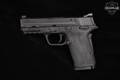 Smith & Wesson (S&W) M&P 9 Shield EZ 9mm Luger Armornite in Very Good Condition Image 5