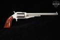 North American Arms (NAA) The Earl Hogleg; Convertible/Dual Cylinder Combo .22 WMR / .22 LR Satin Stainless in Good Condition Image 2