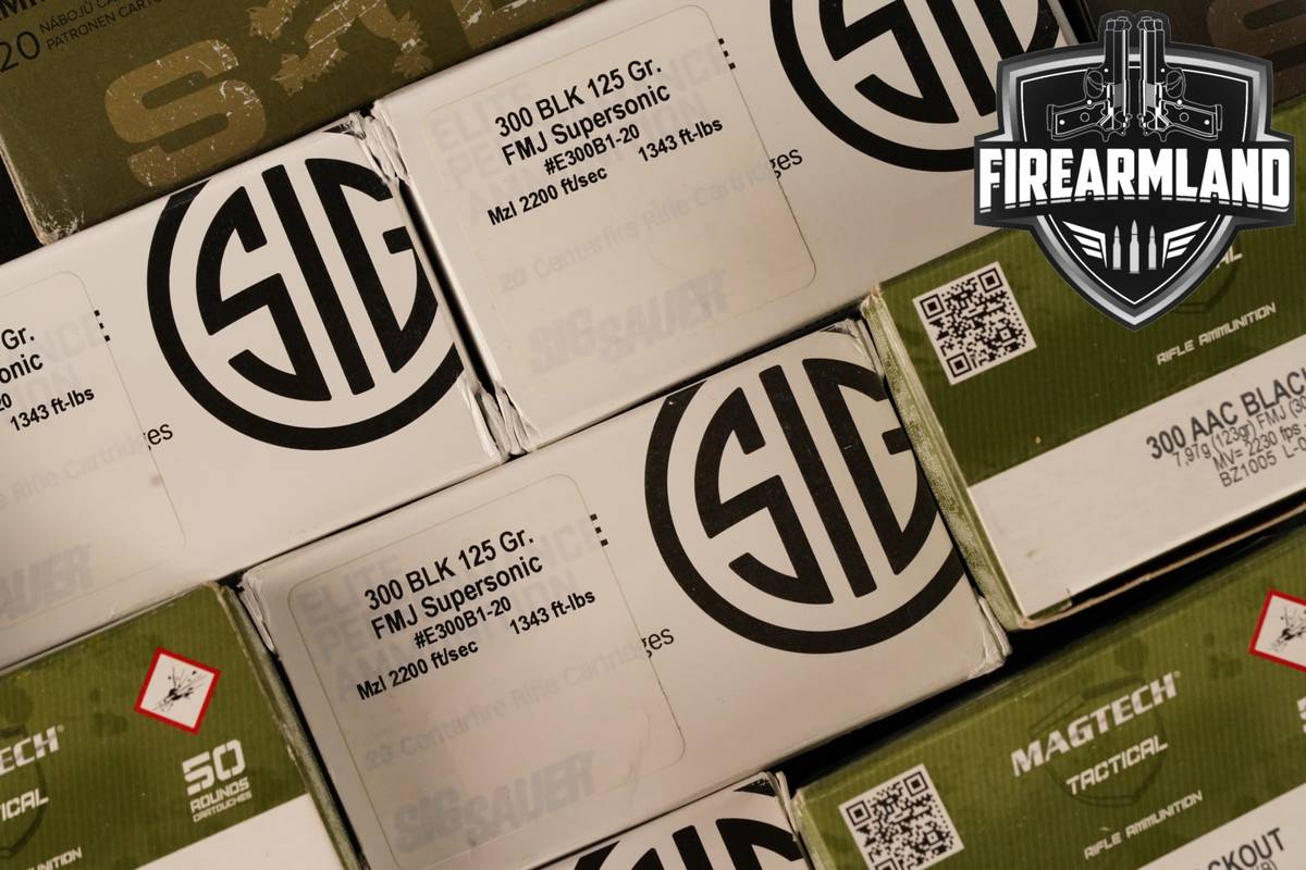 500 RDS! 300 Blackout Ammo BLK-AAC Ammunition