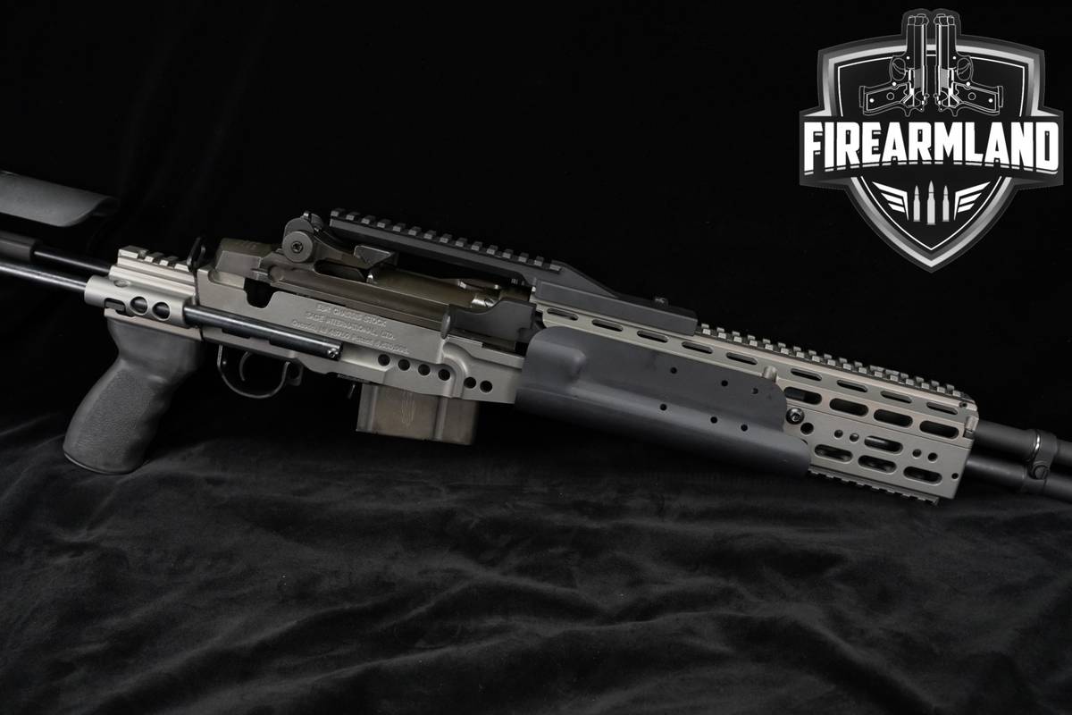 Springfield Armory M1A 308 Winchester SAGE EBR Chassis M14 Tactical +2 MAGS