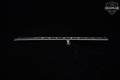 Mossberg Maverick Model 88 26" Barrel 20 Gauge Blued in Excellent Condition Image 3