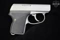 L.W. Seecamp (LW Seecamp) Model LWS 25 .25 ACP (6.35mm) Matte Stainless in Excellent Condition Image 3