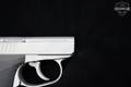 L.W. Seecamp (LW Seecamp) Model LWS 25 .25 ACP (6.35mm) Matte Stainless in Excellent Condition Image 4