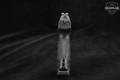 Walther PPQ M2 9mm Luger Black in Very Good Condition Image 4