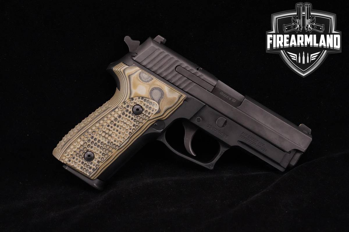 Sig Sauer P229 Nitron Compact Compliant 9mm 3.9" P 229 Pistol +2 MAGS