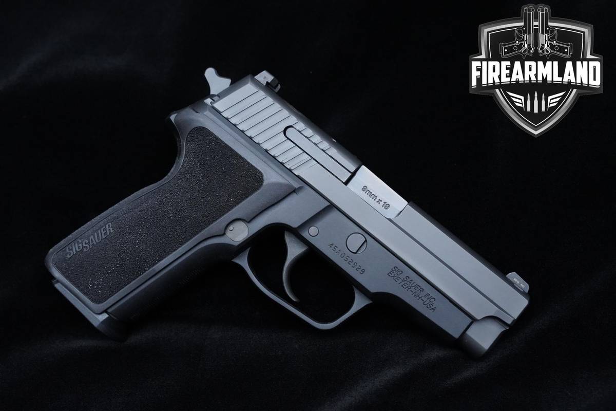 Sig Sauer P229 M11-A1 9mm 3.9" P229 Sig +3 Sauer MAGS, ORIG CASE & HOLSTER
