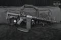 Rainier Arms RM-15 5.56mm NATO Black in Excellent Condition Image 2