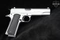 Alpharms Savunma Sanayi Ltd. Centurion 11 .45 ACP Silver in Very Good Condition Image 3
