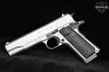Alpharms Savunma Sanayi Ltd. Centurion 11 .45 ACP Silver in Very Good Condition Image 4