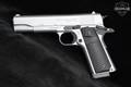 Alpharms Savunma Sanayi Ltd. Centurion 11 .45 ACP Silver in Very Good Condition Image 5