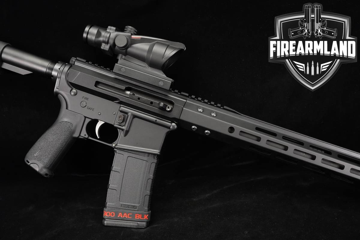CUSTOM Palmetto State Armory Bear Creek PA-15 AR15 AR PA15 +SCOPE