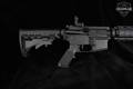 DPMS Panther Arms A-15 5.56mm NATO Black in Excellent Condition Image 4