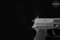 Sig Sauer SP2022 9mm Luger Nitron in Excellent Condition Image 5