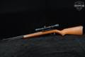 Marlin Firearms Co. Model 60 60W Sportsmanship Edition .22 LR Blued & Walnut in Good Condition Image 2