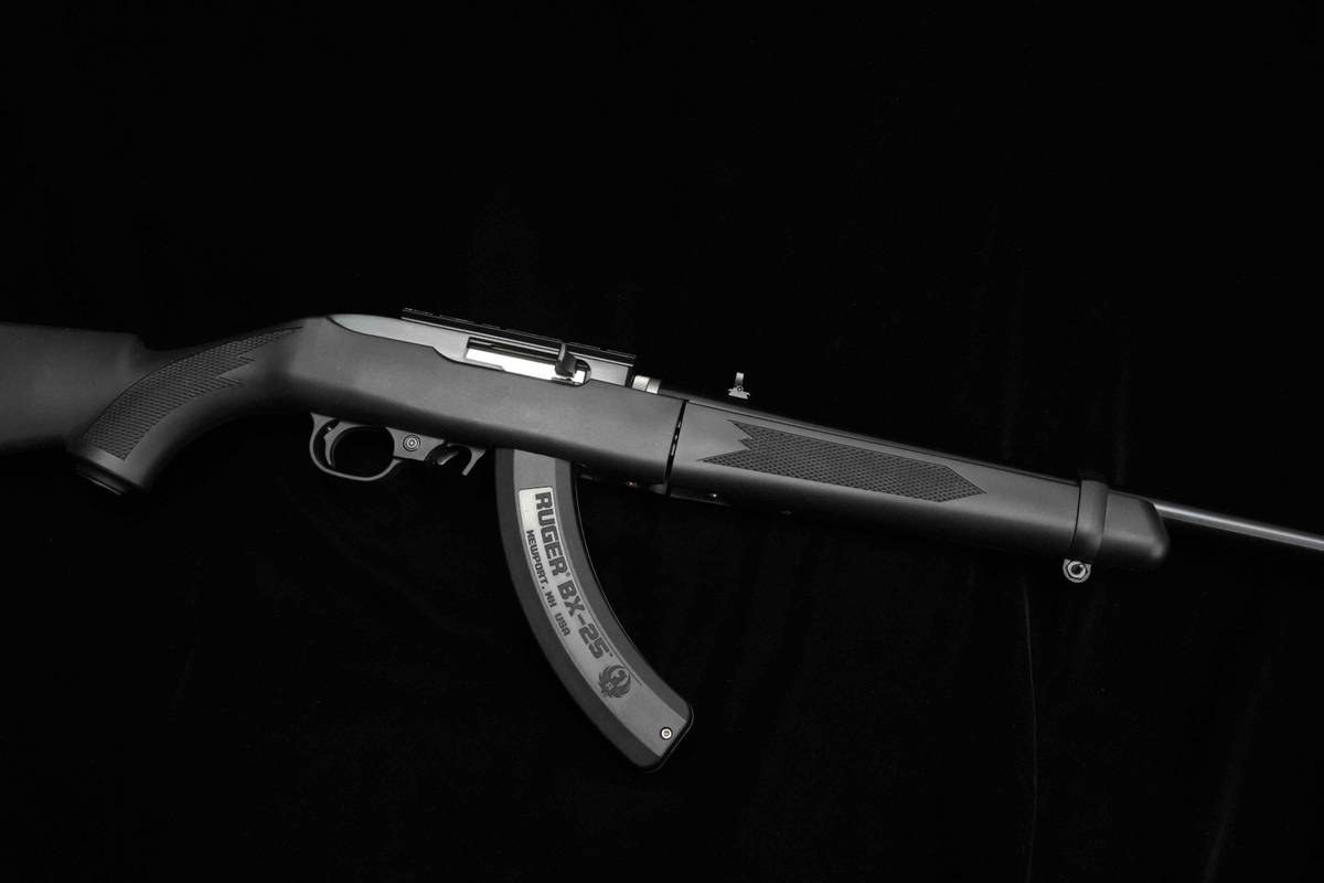 Ruger Model 10/22 TAKEDOWN 22LR Ruger 10/22 10-22 1022 +2 MAGS & ORIG CASE