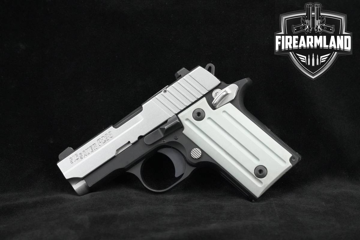 Sig Sauer P238 Two-Tone 380 ACP 2.7" Sig-Sauer P-238 +4 MAGS & HOLSTER