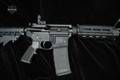 Smith & Wesson (S&W) M&P15 Sport II 5.56mm NATO in Factory New Condition Image 4