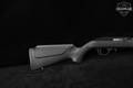 Rossi RS22 .22 LR Blued in Good Condition Image 4