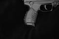 2017 Sturm Ruger SR22 .22 LR Black Anodized in Excellent Condition Image 3