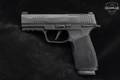 Sig Sauer P365 XMacro 9mm Luger Nitron in Excellent Condition Image 3