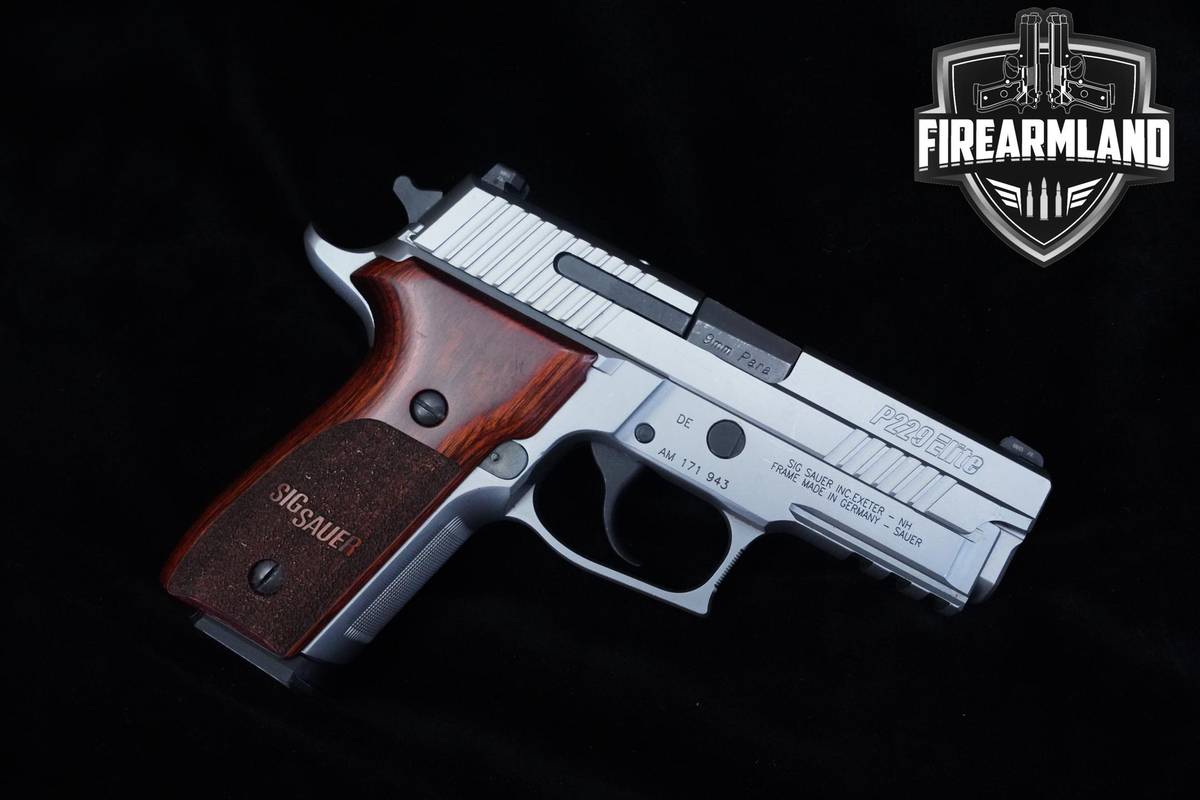Sig Sauer P229 Elite Stainless 9mm 3.9" Stainless Steel P229 P-229 +3 MAGS