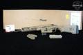 Sig Sauer MCX Regulator 5.56mm NATO FDE (Flat Dark Earth) in Like-New Condition Image 2