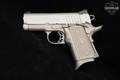 Para Ordnance Warthog .45 ACP other in Very Good Condition Image 4