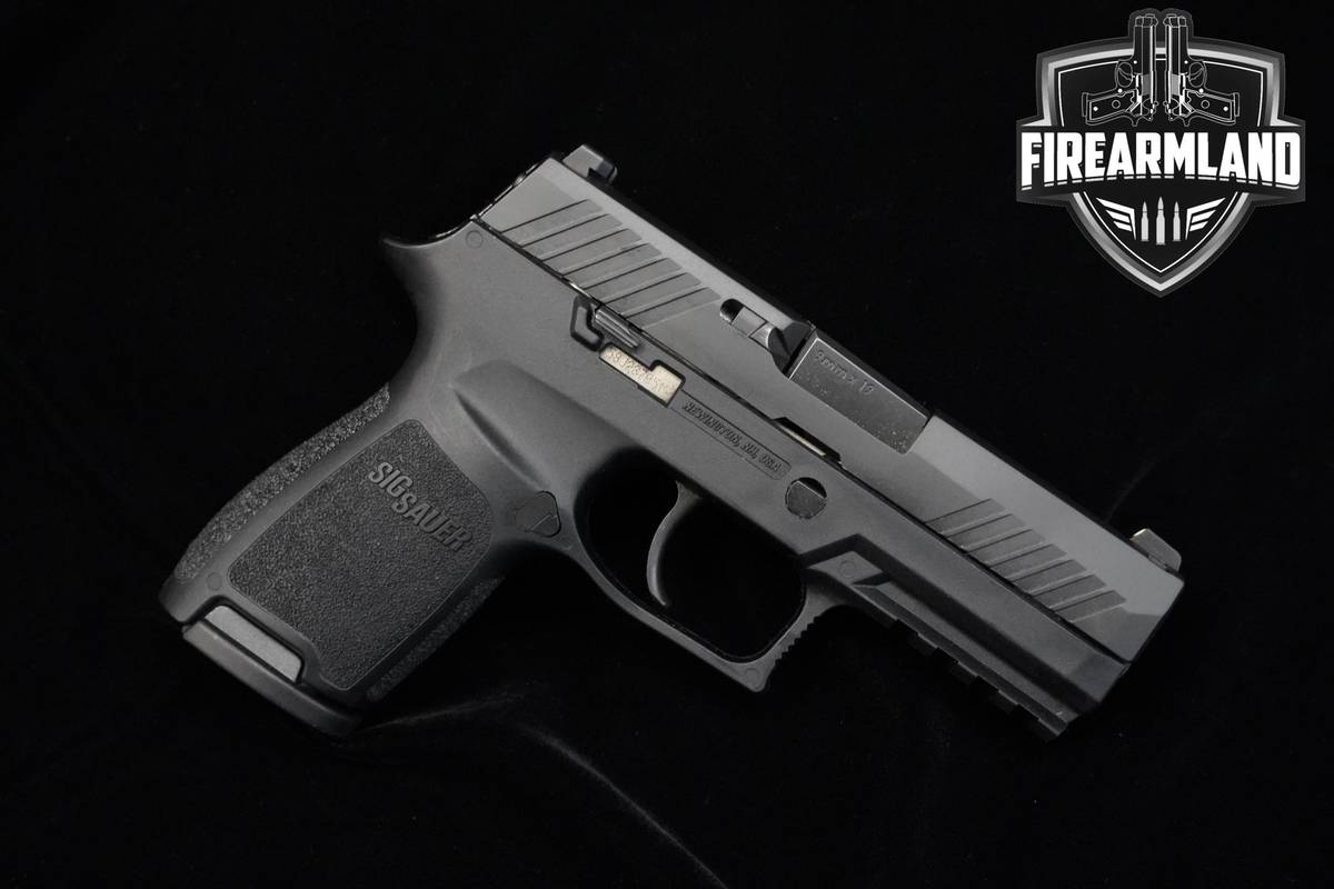 Sig Sauer P320 Compact 9mm 3.9" Nitron Sig-Sauer P320 P-320 2MAGS & HOLSTER