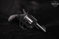 1974 Harrington & Richardson (H&R) Model 732 Second Model .32 S&W Blued in Good Condition Image 2