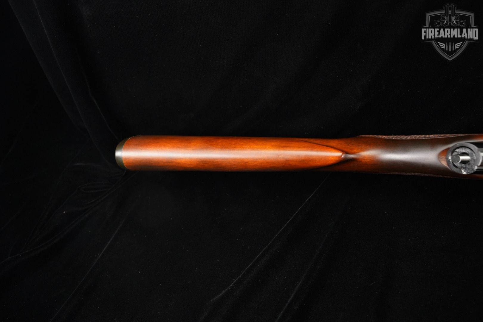 Winchester Wildcat .22 LR 21