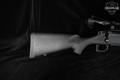 Remington Model 770 .243 Win. Blued in Excellent Condition Image 3