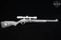 2019 Marlin Firearms Co. Model 60SS Ducks Unlimited Special Edition .22 LR Stainless Steel in Excellent Condition Image 3