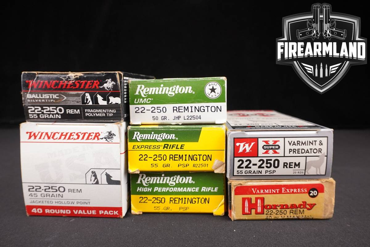 160 RDS! 22-250 Rem Ammo Ammunition