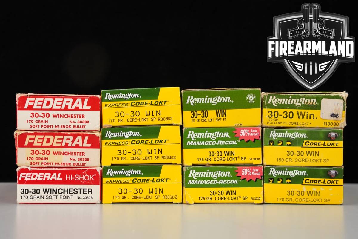 240 RDS! 30-30 Ammo 3030