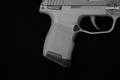 Sig Sauer P365 MS 9mm Luger Nitron in Very Good Condition Image 3