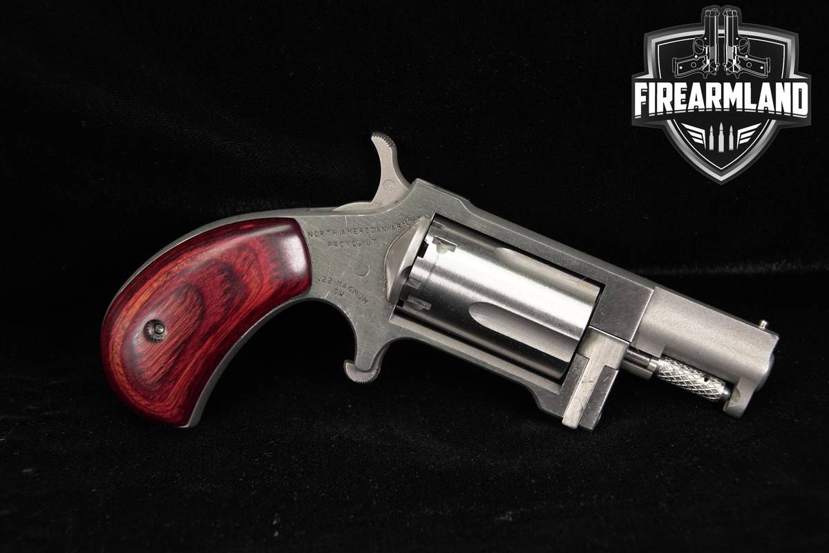 North American Arms NAA-22M 22 WMR 1 5/8" Satin Stainless Mini-Revolver