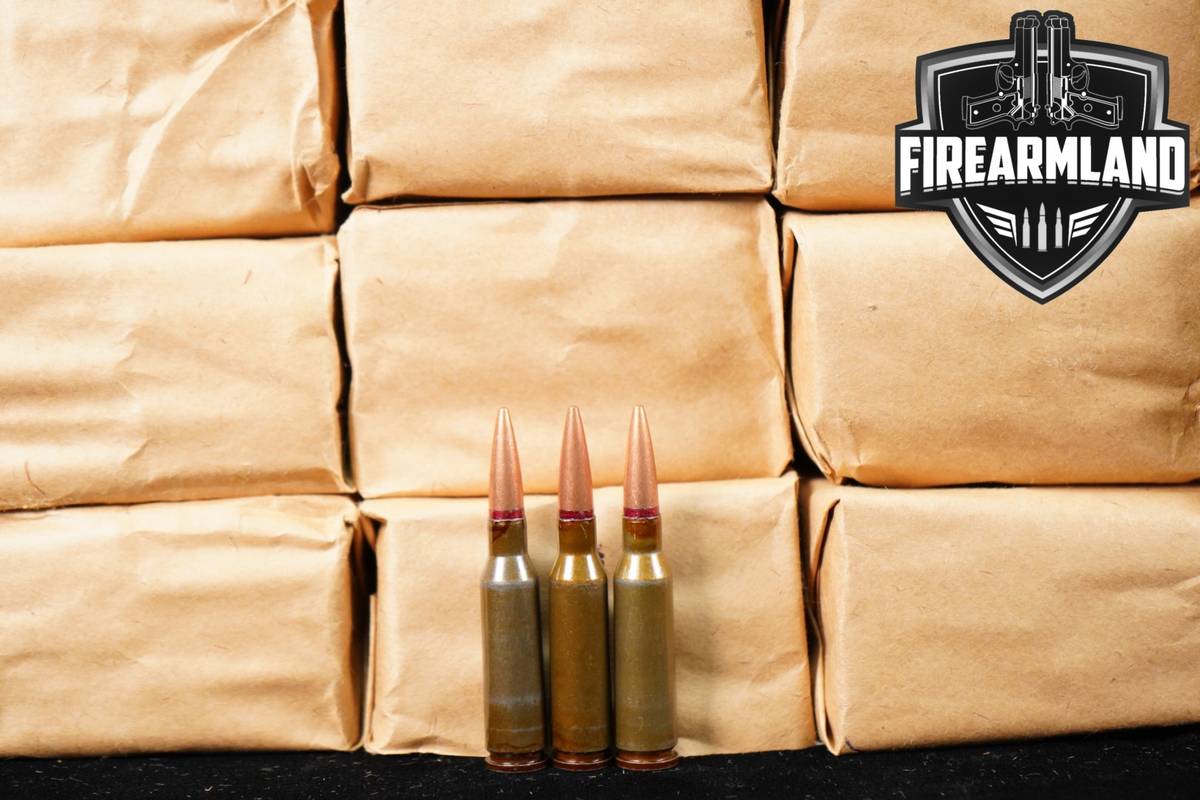 1080 RDS! 5.45x39mm Ammo Ammunition