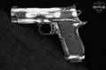 Wilson Combat (WC) EDC X9 9mm Luger Distressed Two-Tone Silver in Very Good Condition Image 3